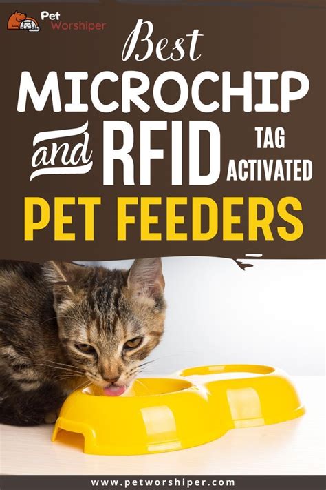 tag activated pet feeder